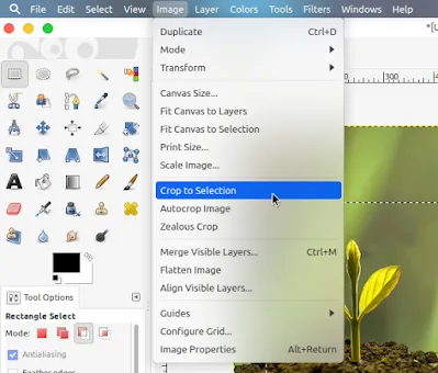 Cara Memotong atau Crop Gambar Dengan GIMP - Third